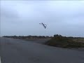 Ikarus Yak 54 Shock flyer Fun Ikarus Yak 54 Shock flyer Fun
