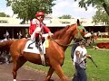 The Thoroughbred Mind Reader