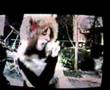 Henzel - Love and Peace (unfinished and terrible version)