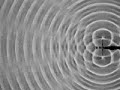 Interference-interferencia Interference-interferencia