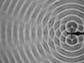 Interference-interferencia