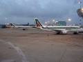 ALITALIA CAI - ADDIO ALLA COMPAGNIA DI BANDIERA