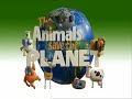 Electric Eels - The Animals Save The Planet
