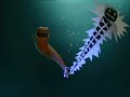 The Animals Save the Planet - Electric Eels The Animals Save the Planet - Electric Eels