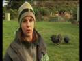 videos de Meet the Locals - Takahē (Ep 15)