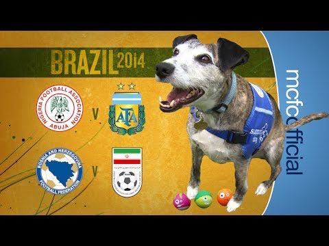 3 Points For Dzeko | WORLD CUP PREDICTOR | Dougie the Dog 3 Points For Dzeko | WORLD CUP PREDICTOR | Dougie the Dog
