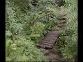 A passo di trotto fra scale, vialetti e ponticelli nell\ A passo di trotto fra scale, vialetti e ponticelli nell\