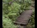 videos de A passo di trotto fra scale, vialetti e ponticelli nell'Orto Botanico di Bergamo