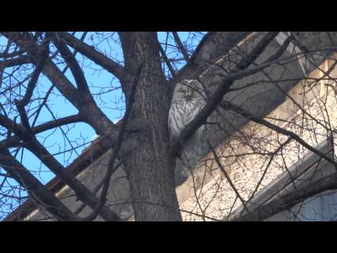 YouTube &ETH;&cent;&Ntilde;&ETH;&micro;&ETH;&sup1;&ETH;&raquo;&ETH;&micro;&Ntilde;