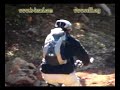 Mountain biking. Israel. Hermon - Horshat Tal (Golan). Хермон - Хоршат Таль (Голанские Высоты). Израиль.