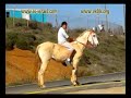 Mountain biking. Israel. Hermon - Horshat Tal (Golan). Хермон - Хоршат Таль (Голанские Высоты). Израиль.