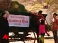 Raw Video: White House Christmas Tree Arrives