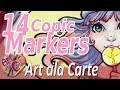 Using Lighter 14 copic markers