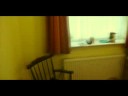 THE P-CAT ARRIVES IN ENGLAND!! (FINALLY)