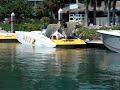 Miami Vice lu13