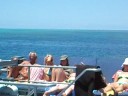 Reef Experience