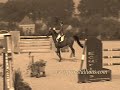 Equestrian-Put a donk on it