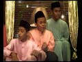 sepohon kayu