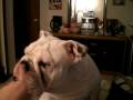 head shake