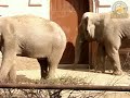 S?o?, otwiera?, chce mi si? pi?! S?o?, otwiera?, chce mi si? pi?!