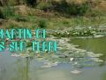 Peche Carpe Week-end en famille aussi !!!