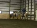 videos de JNDS INVESTIN ADREAM - AQHA APHA PALOMINO ALL AROUND USING GELDING- PART 2 OF 2 VIDEOS