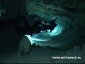 Cavediving Mexico - Grand Cenote Cavediving Mexico - Grand Cenote