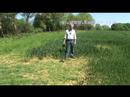 Viking VK40 from Regton metal detector with Norfolk Wolf.