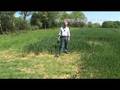 Viking VK40 from Regton metal detector with Norfolk Wolf.
