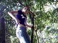 Macaca albina