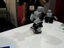 CES 2008: Plen rollerskates CES 2008: Plen rollerskates