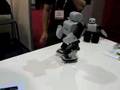 CES-2008-Plen-roller