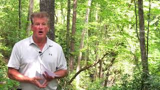 Lake Keowee Real Estate Video Update August 2026 Mike and Matt Roach Top Guns Realty
