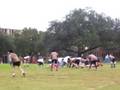 BQ Bowl II