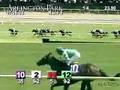 ARLINGTON PARK, 2008-07-06, Race 5