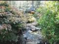 videos de Da Ginter Movie.wmv