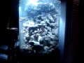 The up right version of the full cylinder  300 gallon early stages of the reef tank