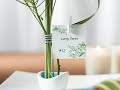 Wedding Reception Centerpieces - Inspirations