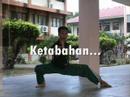 Silat PEWARIS
