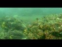 20080720 - Ria de Aldan