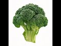 I corti di Ucchio (Il Broccolo)