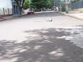 carrinho do samuca