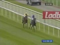 York - Juddmonte International Stakes   2009