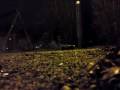 videos de Söndersprängd Radio