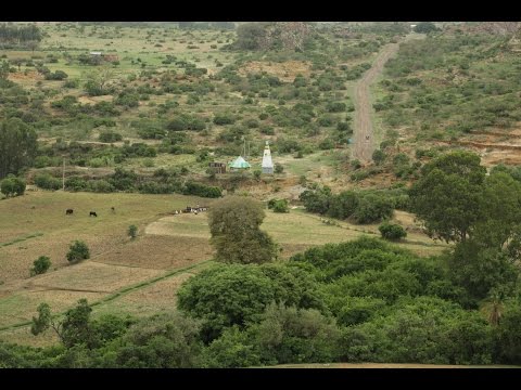 It Takes a Village to Re-raise a Forest