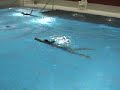 Swimming Lesson Swimming Lesson