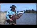 Alaska Salmon Fishing