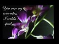 Orchids.wmv