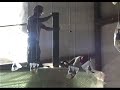 T-Rex Cafe - Fabrication Timelapse