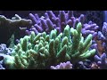 Aquasurf your Vortech DIY in Action